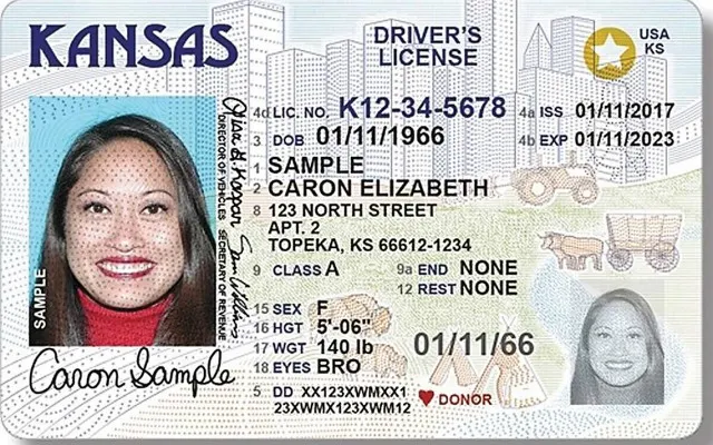 Driver's License