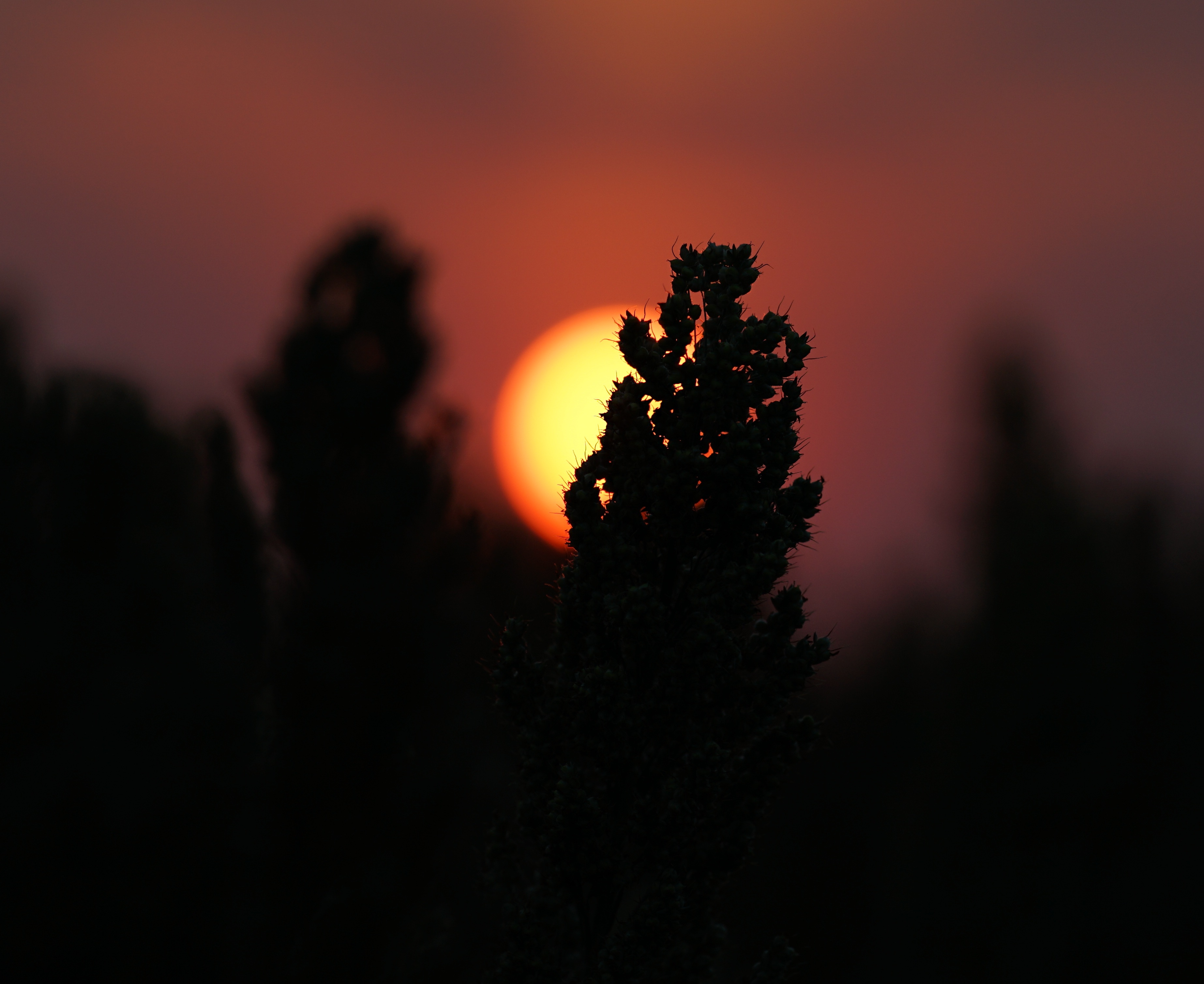 Banner Image - 1