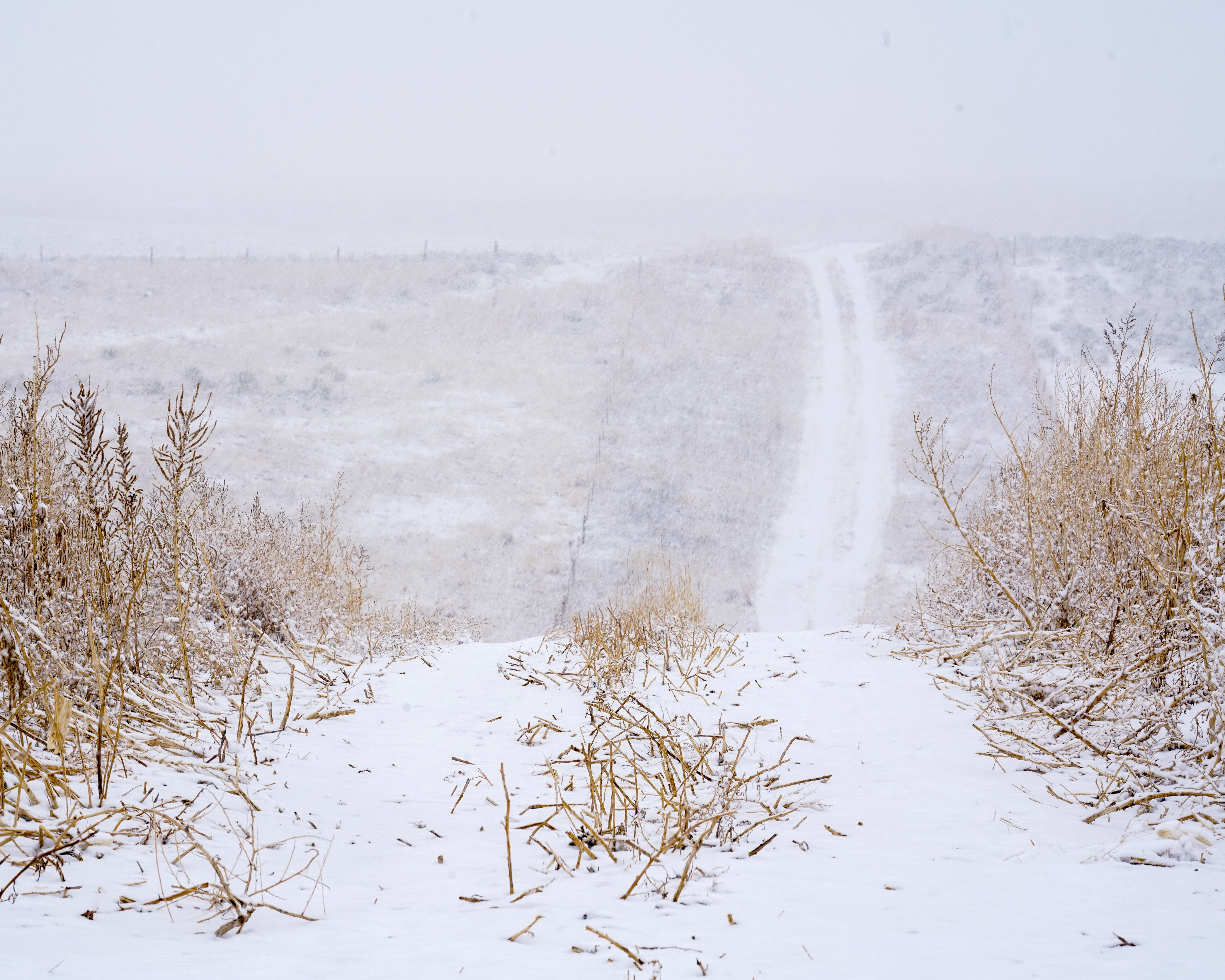 Banner Image - 2